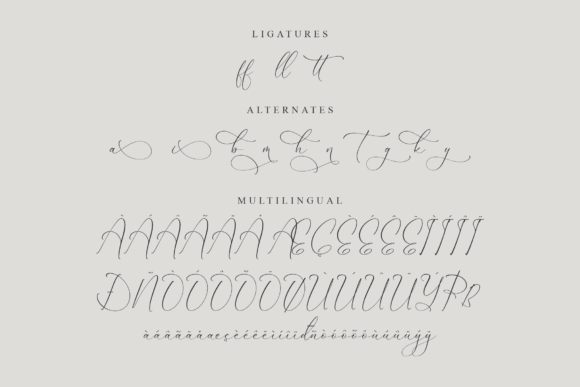 Dilanda Merlinmota Font Poster 14