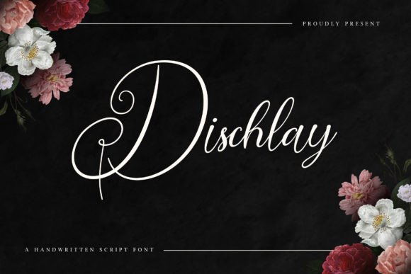 Dischlay Font Poster 1
