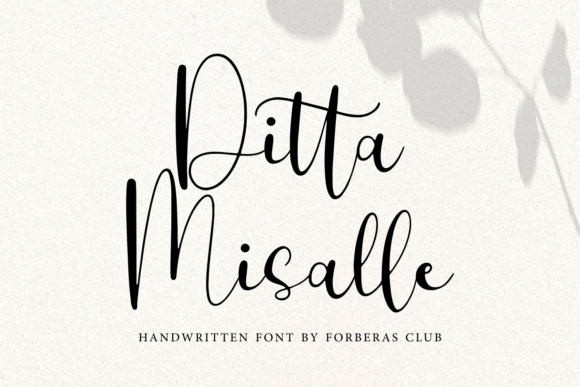 Ditta Misalle Font