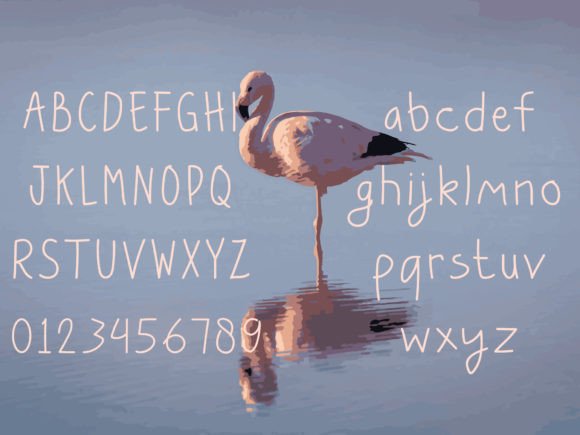 Do Flamingo Font Poster 3