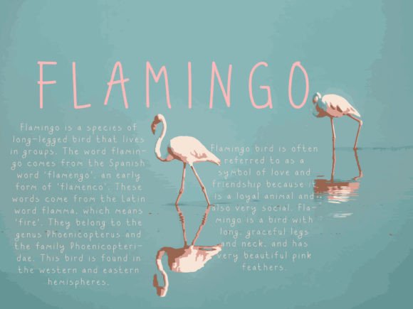 Do Flamingo Font Poster 4
