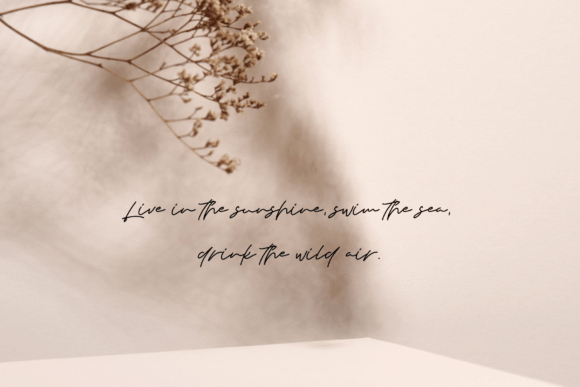 Dolor Amet Font Poster 11