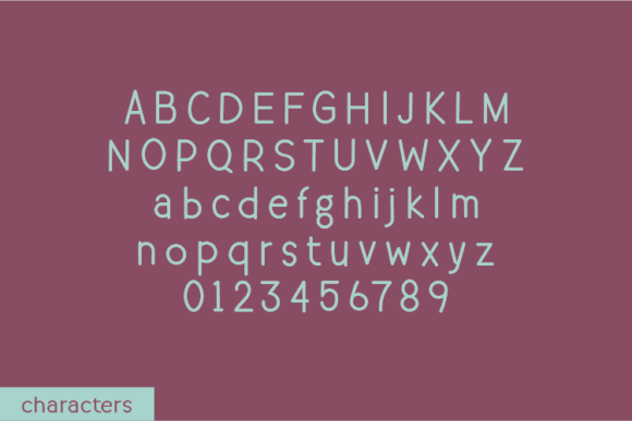 Domestight Font Poster 2