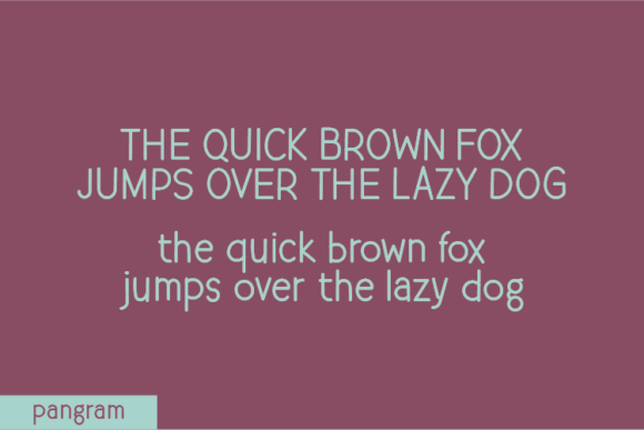 Domestight Font Poster 4