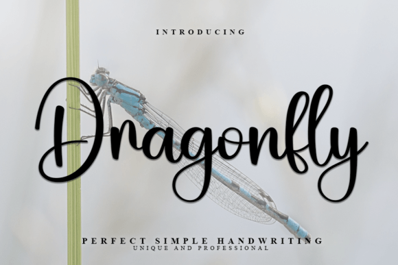 Dragonfly Font Poster 1