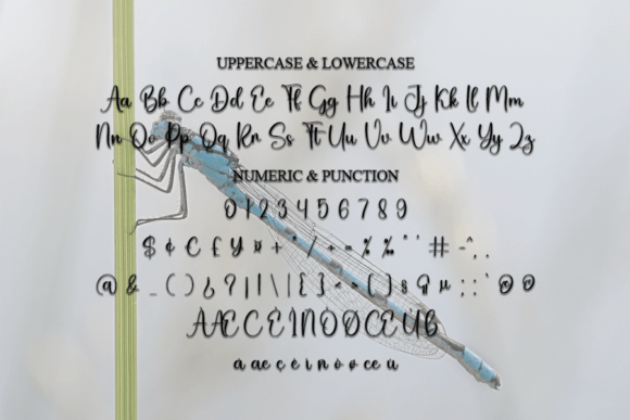 Dragonfly Font Poster 6