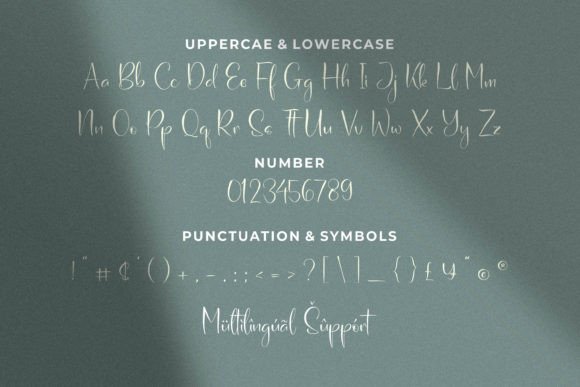 Ellyshalira Font Poster 8