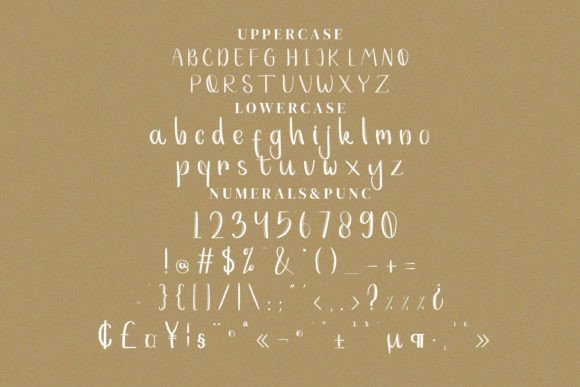 Evellyn Font Poster 12