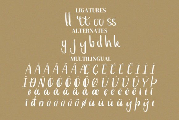 Evellyn Font Poster 13