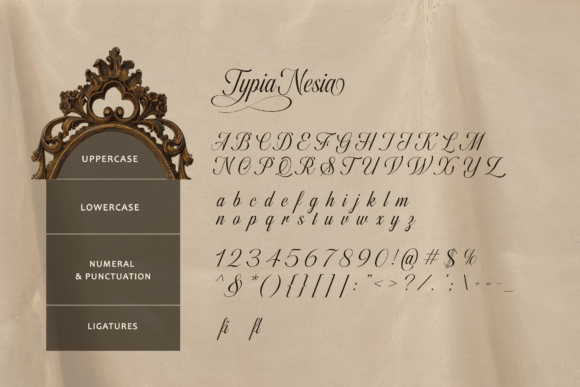 Fairyfiesta Font Poster 11