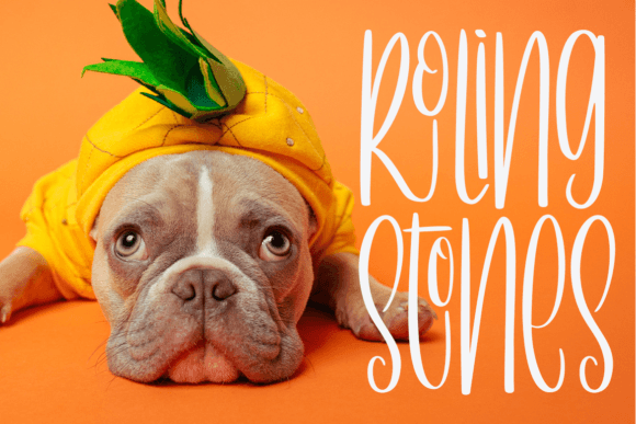 Fancy Brownies Font Poster 8