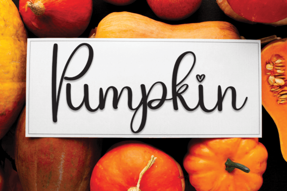 Farmhouse Font Poster 5