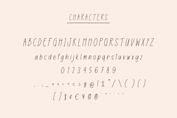 Farmhouse Font Poster 11