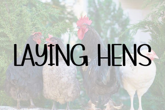 Farmhouse Font Poster 2