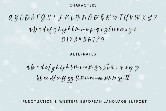 Farmhouse Nativity Font Poster 9