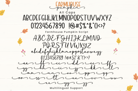 Farmhouse Pumpkin Font Poster 3
