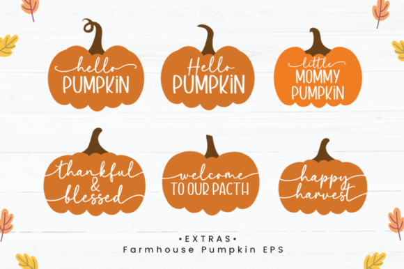 Farmhouse Pumpkin Font Poster 6