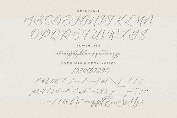 Fattrios Schudnel Font Poster 13
