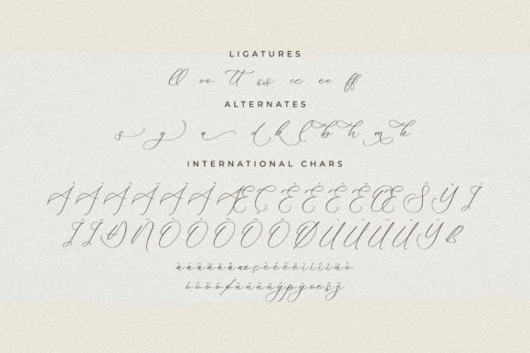 Fattrios Schudnel Font Poster 14