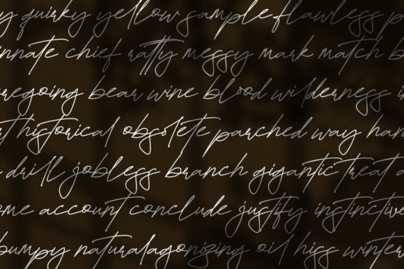 Fayetteville Signature Font Poster 4
