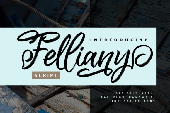 Felliany Font Poster 1