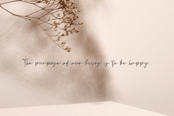 Fermentum Viverra Font Poster 10