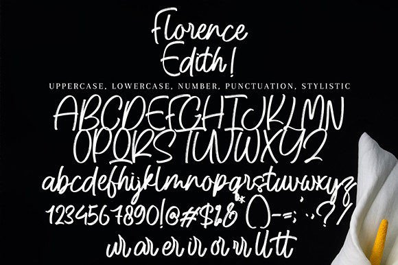 Florence Edith Font Poster 9