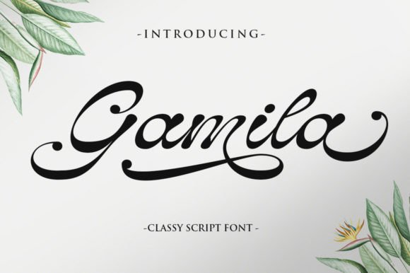 Gamila Font