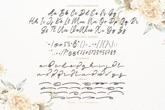 Gans Pacifista Font Poster 9