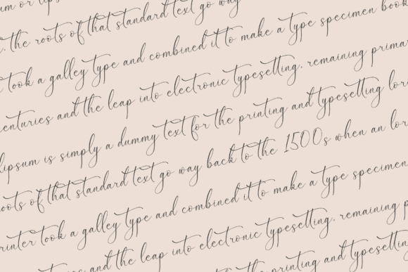 Garbina Sarleta Font Poster 8