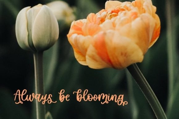 Garden Party Font Poster 9