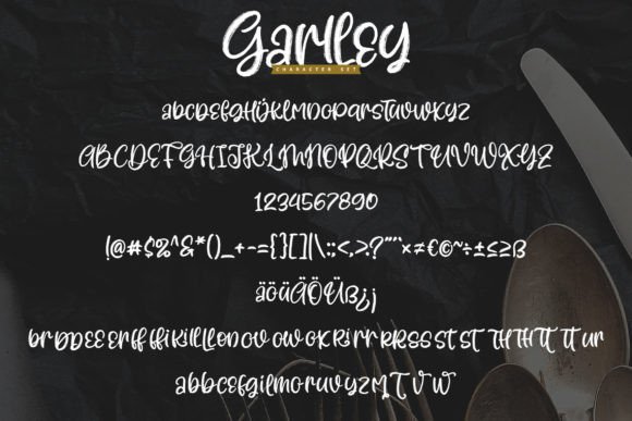 Garlley Font Poster 5