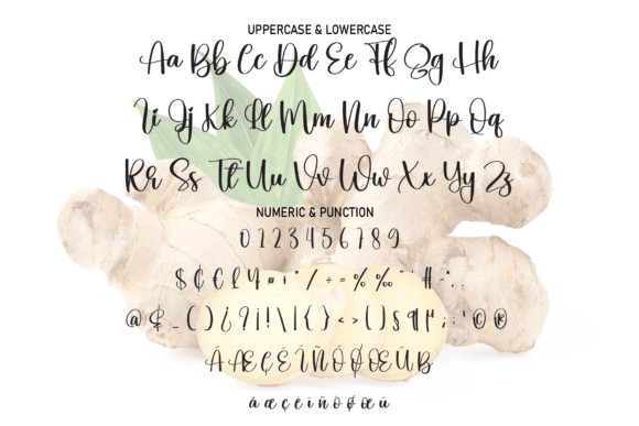 Ginger Font Poster 7