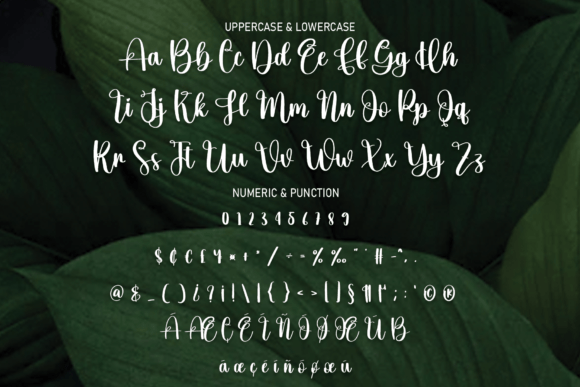 Goddess Font Poster 7