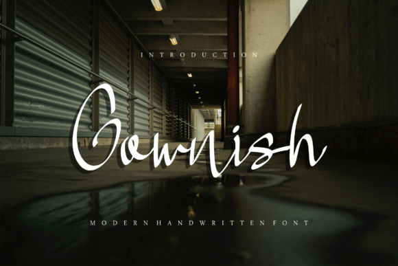 Gownish Font Poster 1