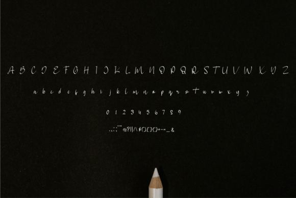 Gownish Font Poster 5