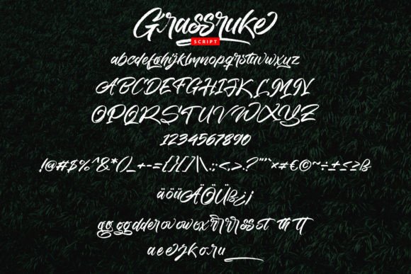 Grassruke Font Poster 5