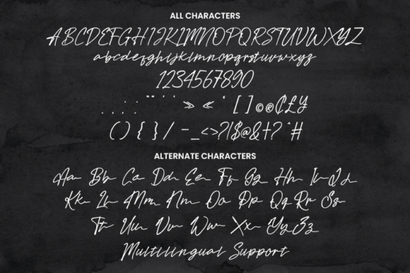 Hadvenly Font Poster 10