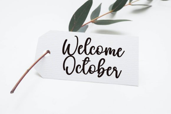 Hallo Cute Font Poster 6