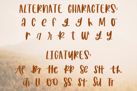 Harvest Wishes Font Poster 7