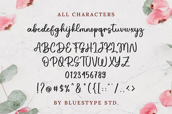 Hay Darling Font Poster 5
