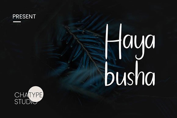 Hayabusha Font Poster 1