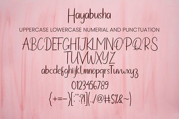 Hayabusha Font Poster 7