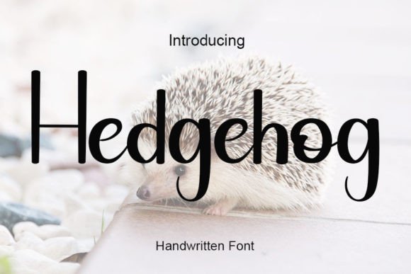 Hedgehog Font Poster 1