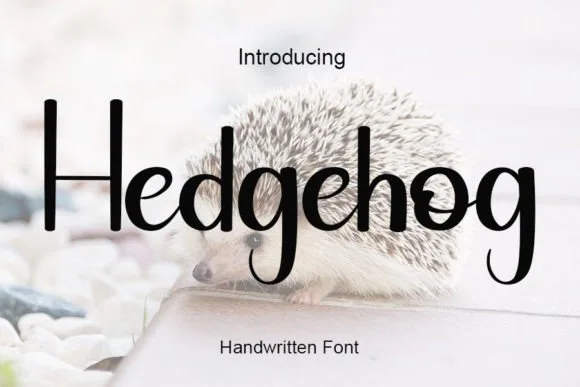 Hedgehog Font Hedgehog Font Poster 1
