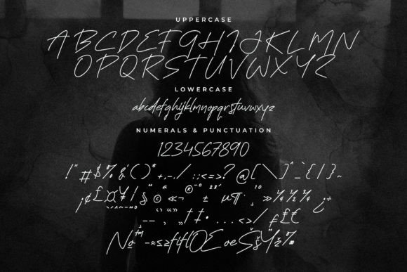 Heylla Ganisto Font Poster 13
