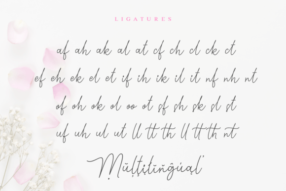 Holisty Font Poster 8