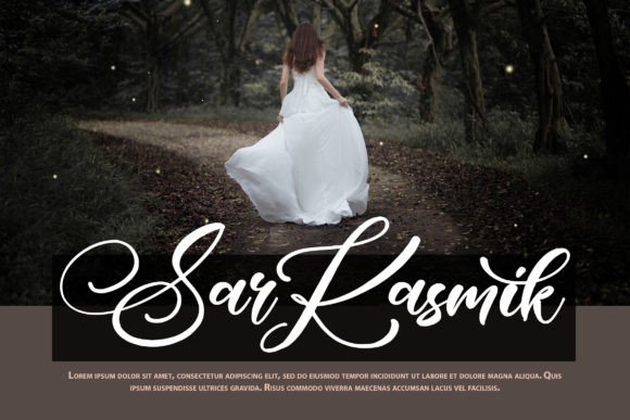 Hollylow Font Poster 4