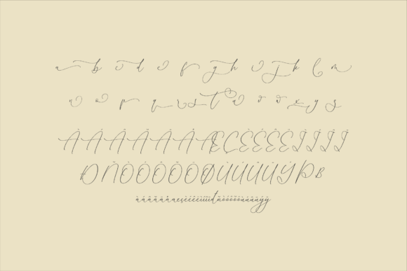 Homylane Dremyntine Font Poster 14