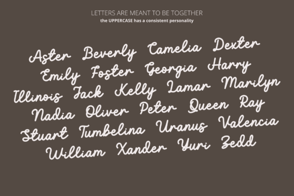 Hopefully Font Poster 5